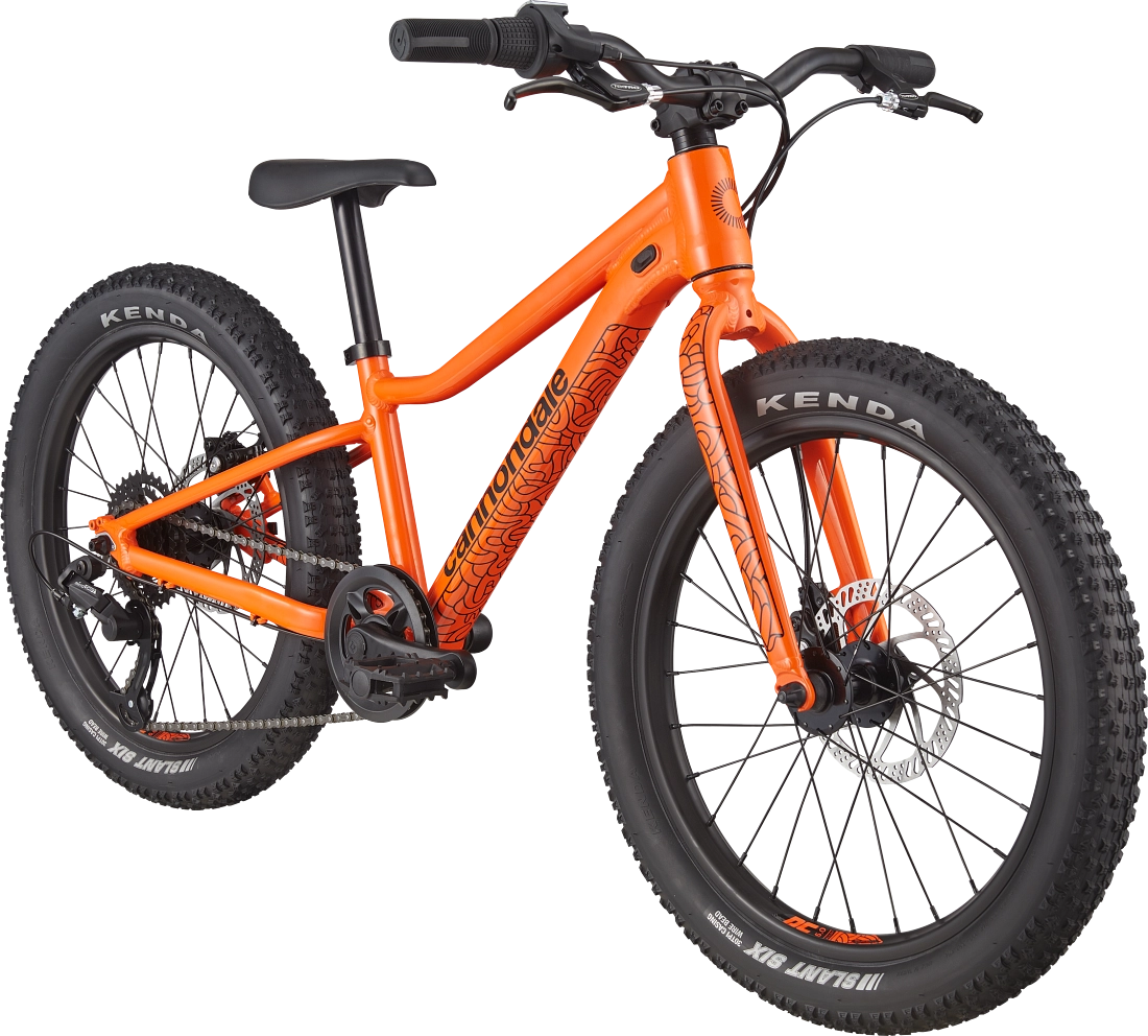 Cannondale Kids Trail Plus 20