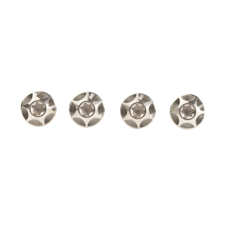 SILCA Titanium Bottle Cage Bolts