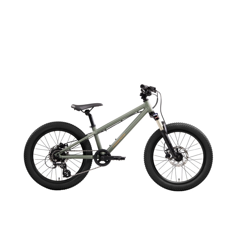 Norco Charger 20