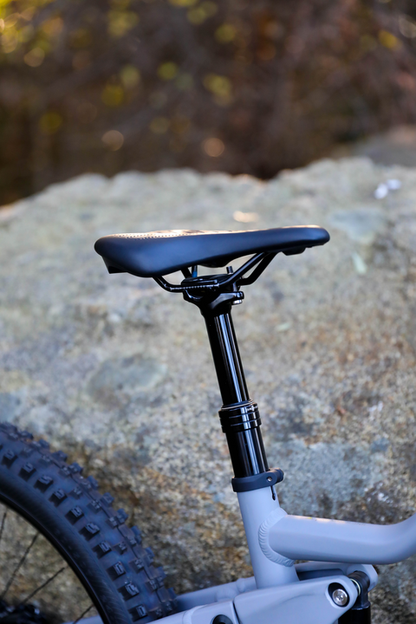 AVANTI Hammer Jnr FS 24