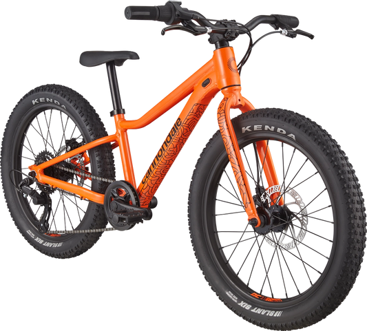 Cannondale Kids Trail Plus 20