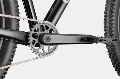 CANNONDALE Trail 2