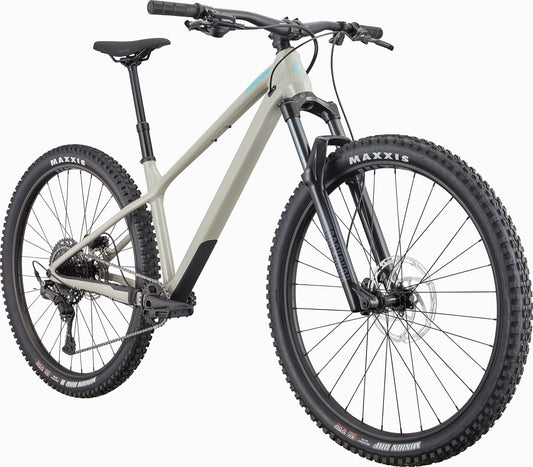 CANNONDALE Habit HT 1