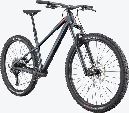 CANNONDALE Habit HT 1