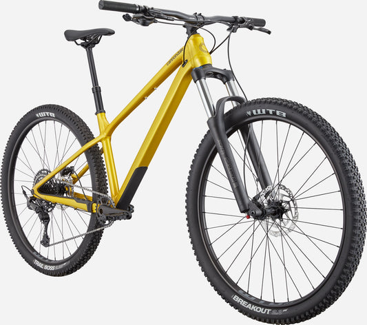 CANNONDALE Habit HT 2