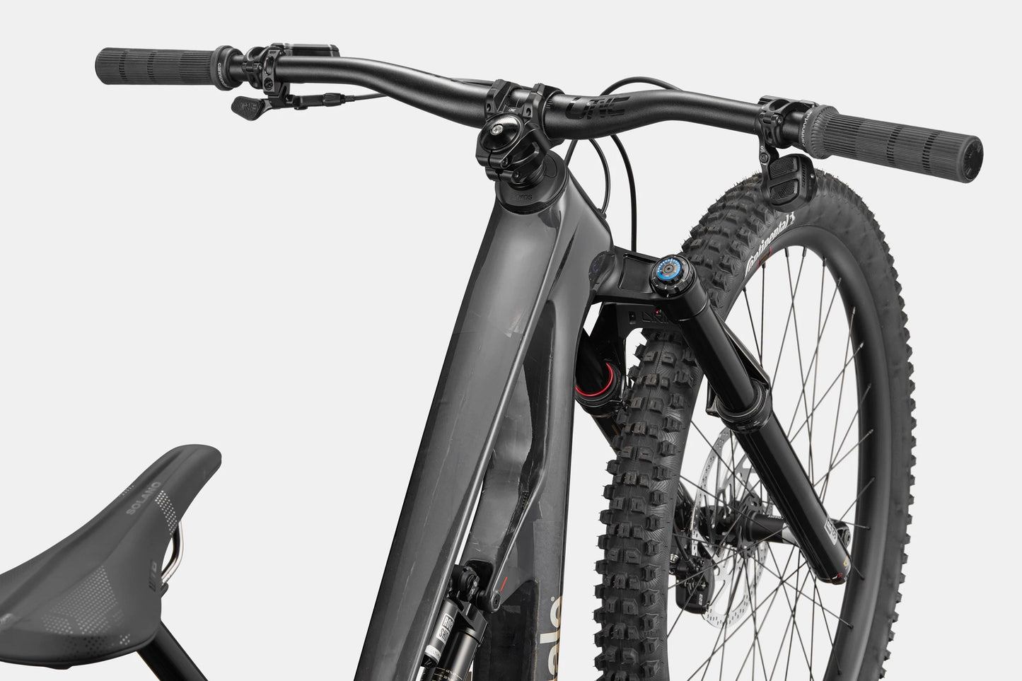 CANNONDALE Bad Habit 1 Raw