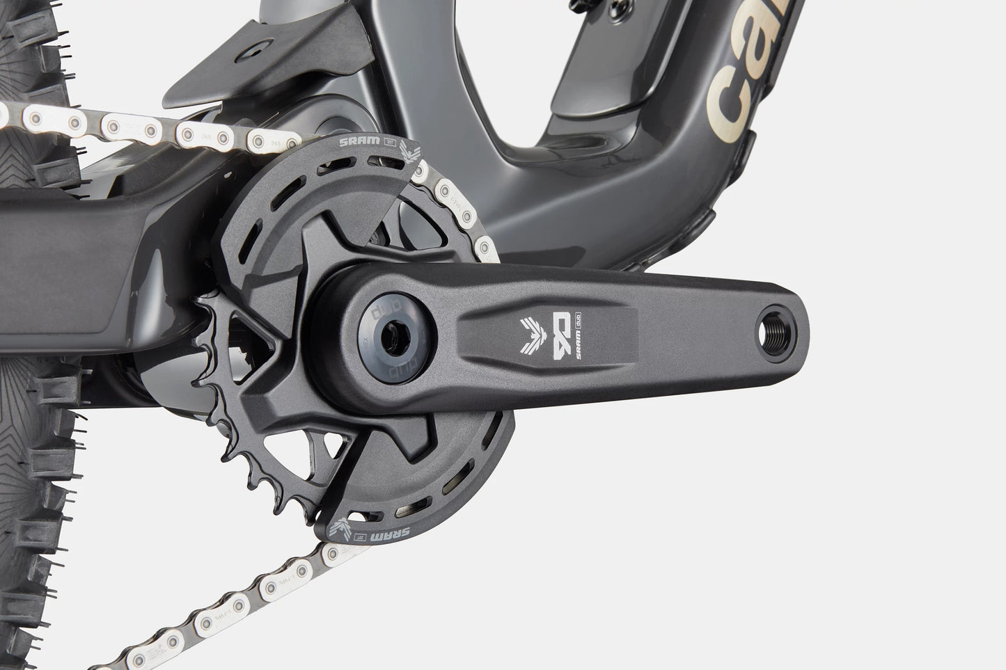 CANNONDALE Bad Habit 1 Raw