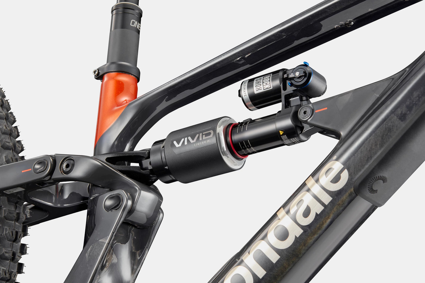 CANNONDALE Bad Habit 1 Raw
