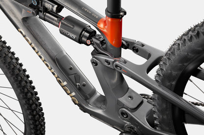 CANNONDALE Bad Habit 1 Raw