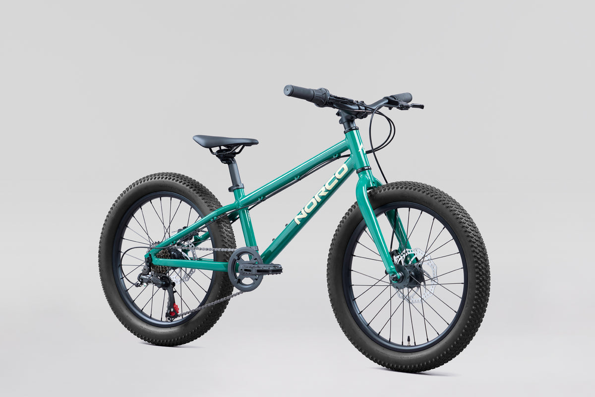 NORCO Storm 20 Disc