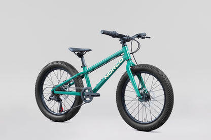 NORCO Storm 20 Disc