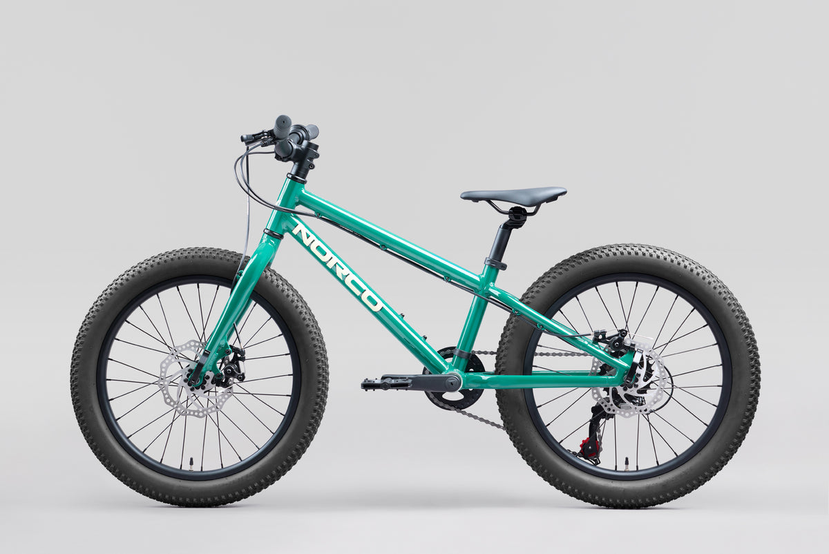 NORCO Storm 20 Disc