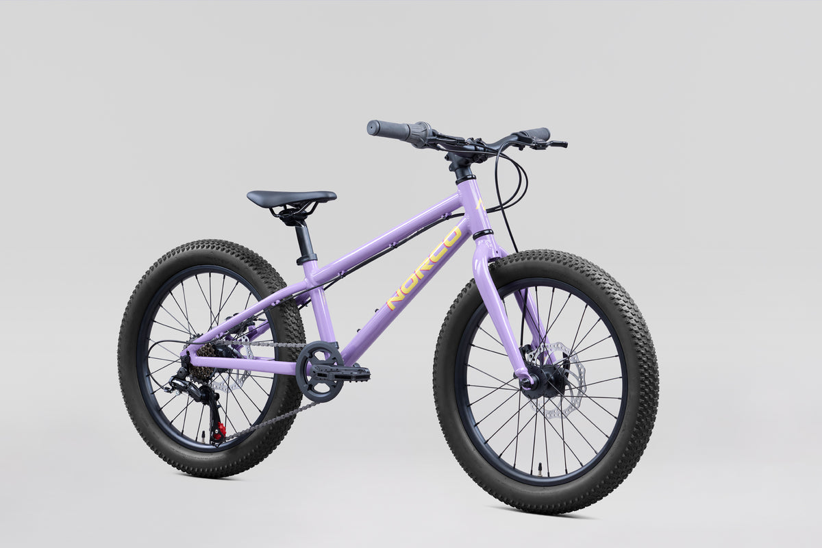 NORCO Storm 20 Disc