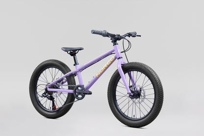 NORCO Storm 20 Disc