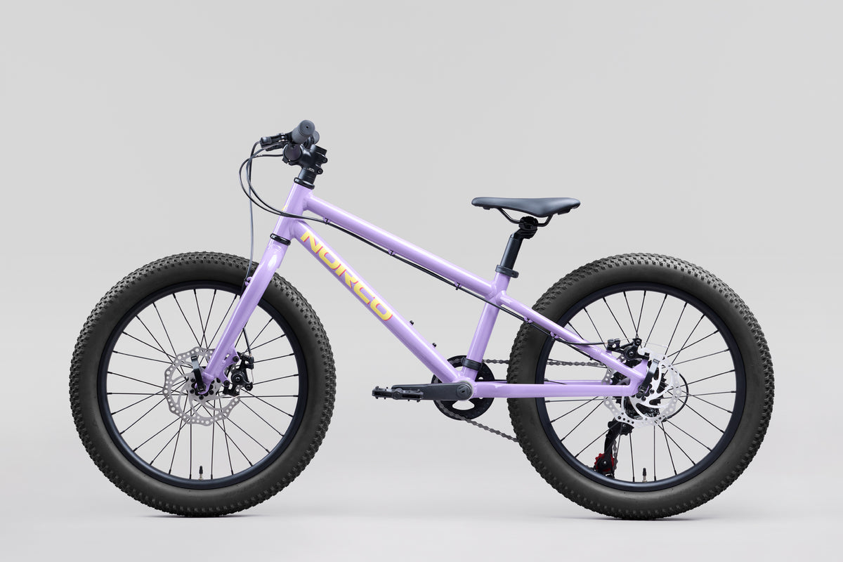 NORCO Storm 20 Disc