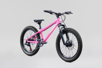 NORCO Storm 20