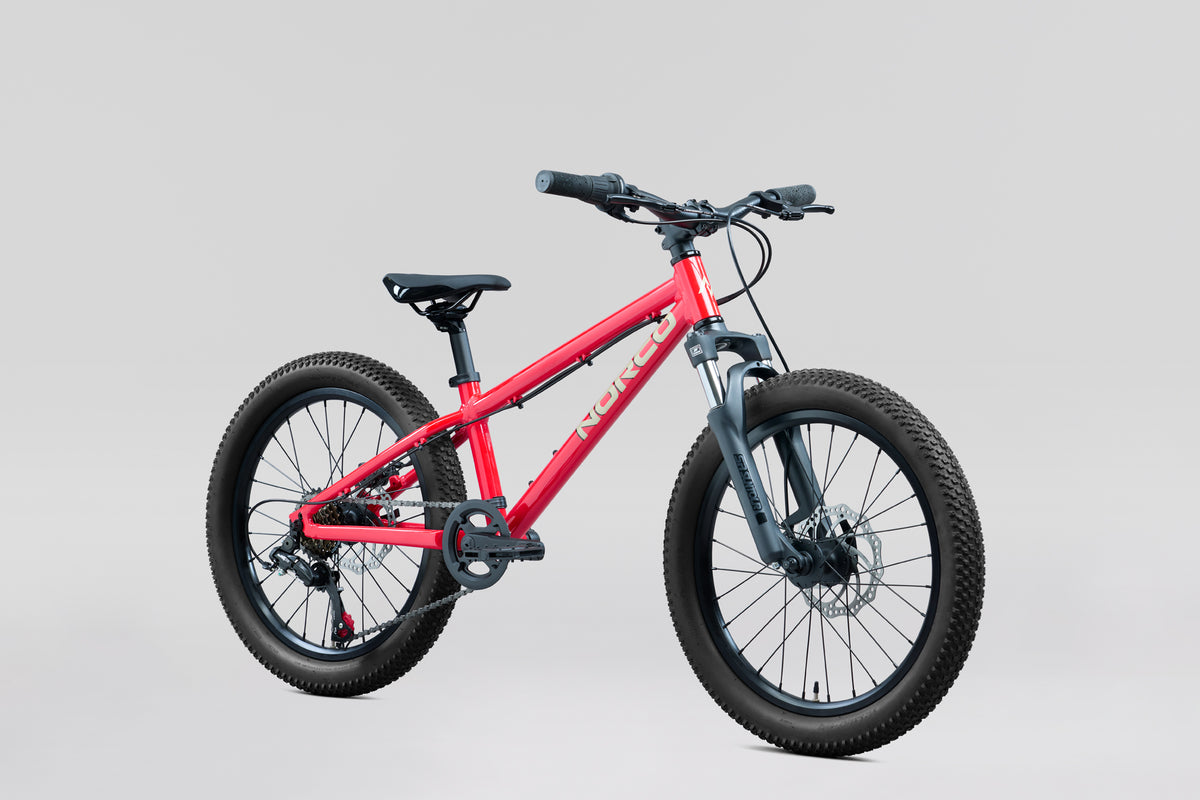 NORCO Storm 20
