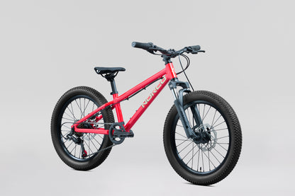 NORCO Storm 20