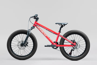 NORCO Storm 20