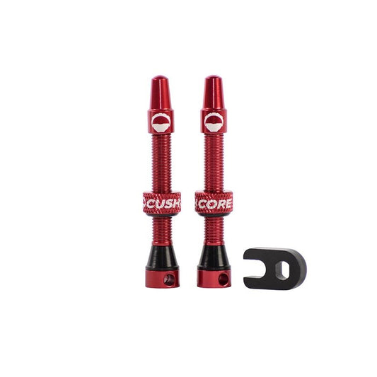Cushcore Tubeless Valves
