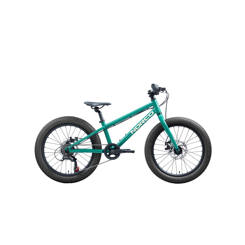 NORCO Storm 20 Disc