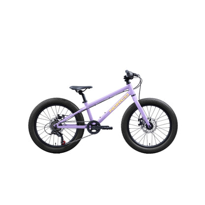 NORCO Storm 20 Disc