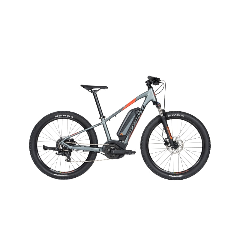 AVANTI Montari-E Junior 24