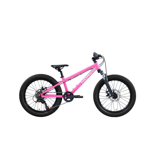 NORCO Storm 20