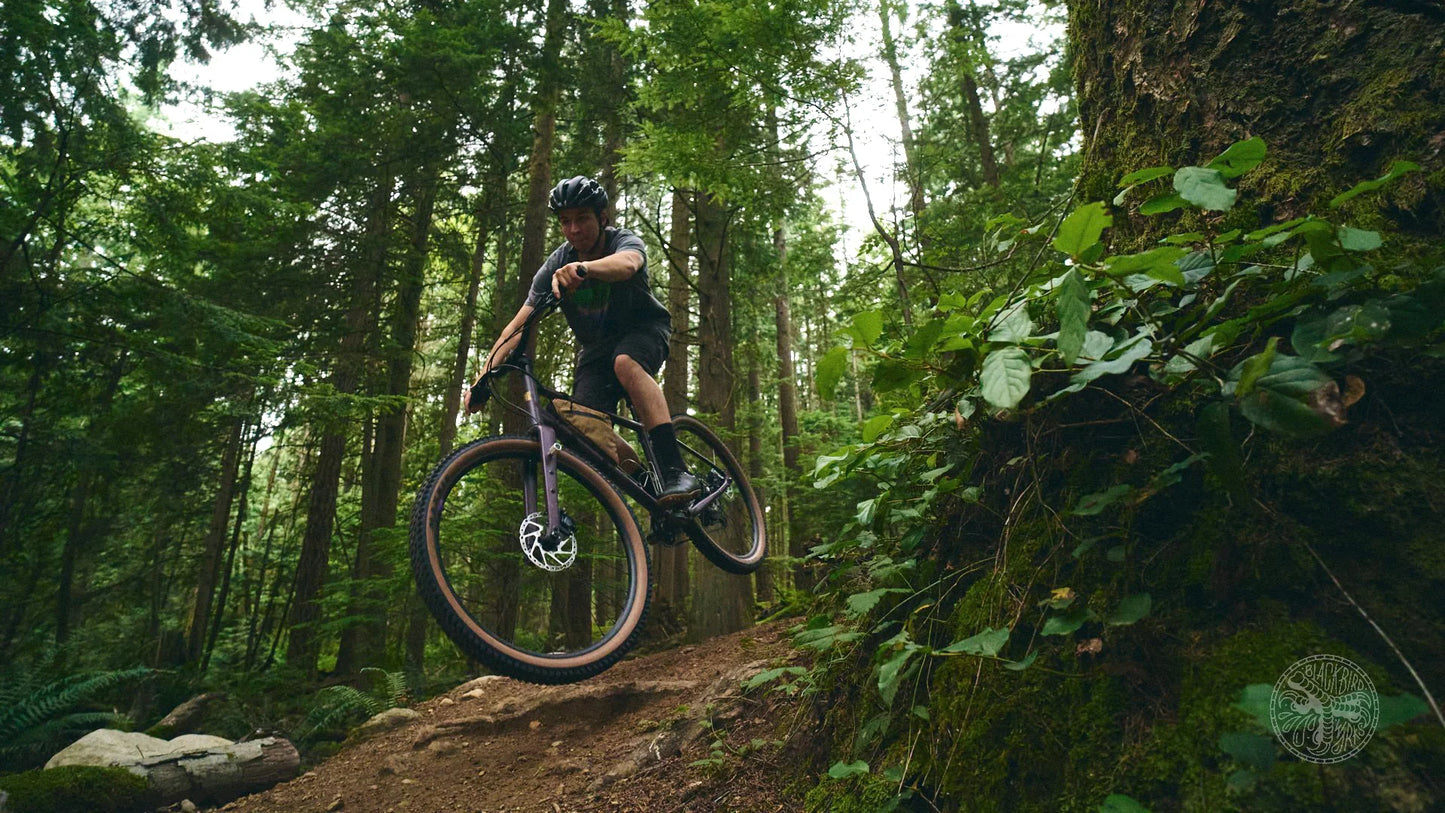 HUDSKI Dualist MTB Eggplant