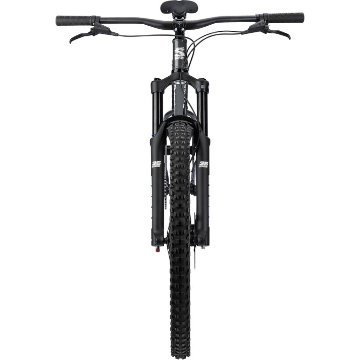 SURLY Sorceress Single Speed Swamp Water Taffy