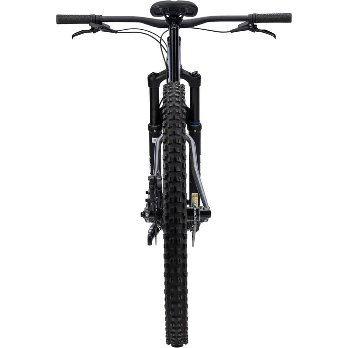 SURLY Sorceress Single Speed Swamp Water Taffy